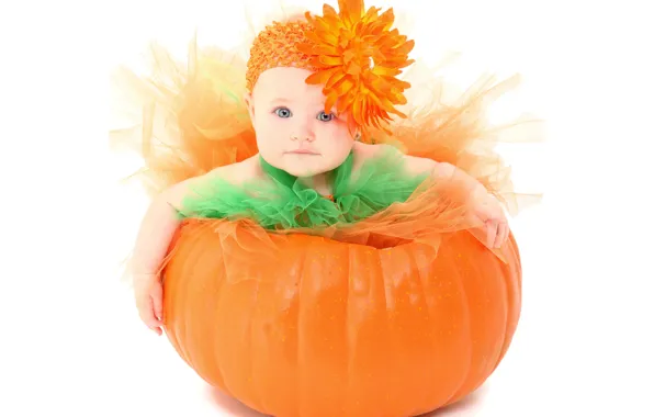 Flower, child, girl, pumpkin, Pumpkin, baby, little, child