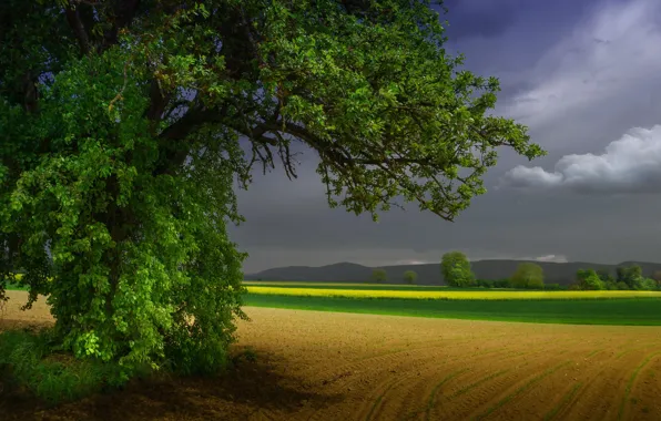 France, Alsace, Sondersdorf