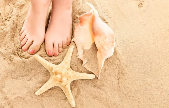 Sand, beach, summer, feet, shell, summer, beach, legs