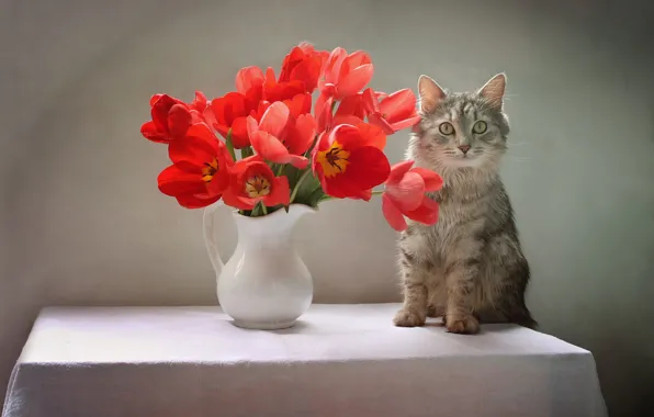 Picture cat, cat, flowers, table, animal, tulips, pitcher, Kovaleva Svetlana