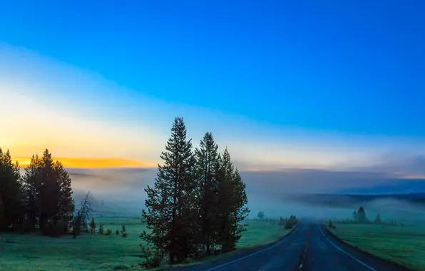 Road, the sky, trees, mountains, fog