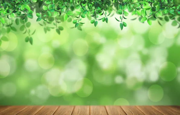 Light, foliage, Board, green background, bokeh