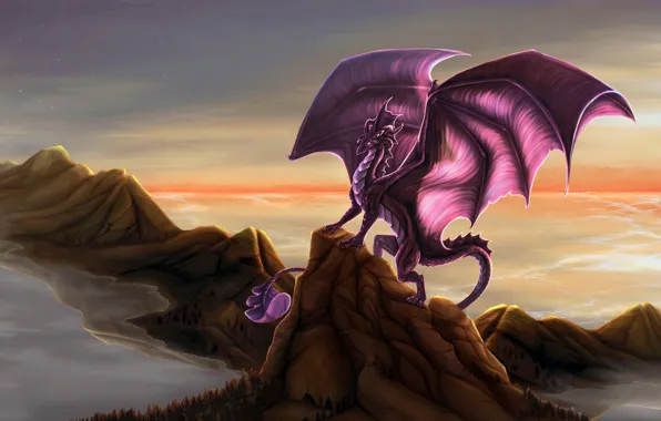 Picture Dragon, wings, rocks