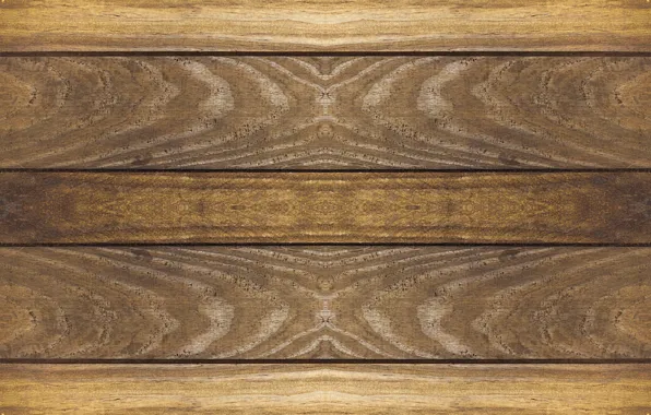 Laminate, finish, under the tree