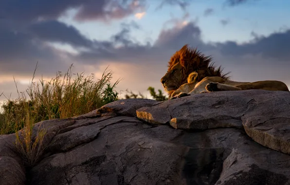 The sky, clouds, sunset, stones, rocks, stay, Leo, the evening