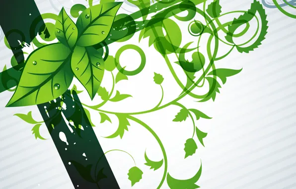 Flowers, green, background, green, texture, background, Modern, floral