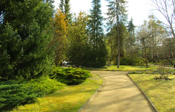 Green, trees, park, plants, alley