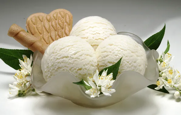 Flowers, cookies, ice cream, dessert, sweet, sweet, Jasmine, dessert