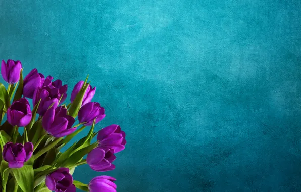Flowers, background, bouquet, tulips