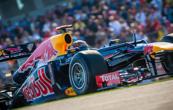 Picture USA, Formula 1, Red Bull, Vettel, Champion