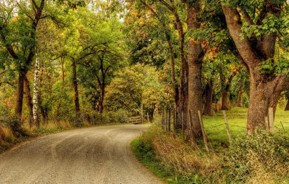 Road, autumn, Park, HDR, alley, road, autumn, parks