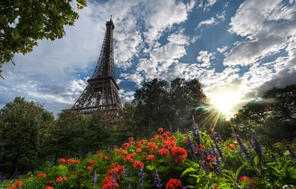 Summer, flowers, Eiffel tower, Paris, summer, France, paris, france