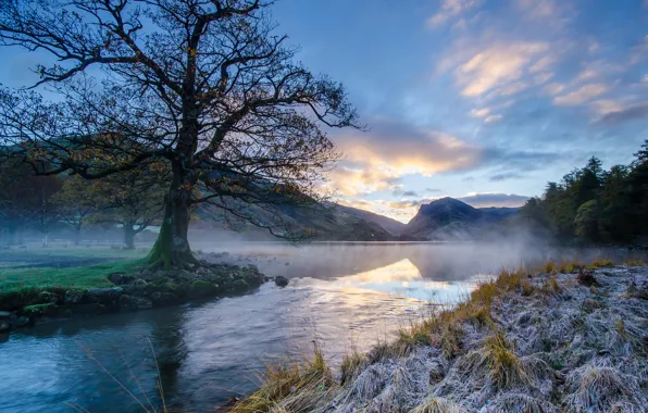 Picture frost, grass, trees, mountains, river, morning, freezing