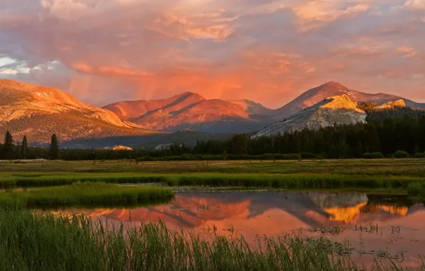 Forest, grass, clouds, light, sunset, mountains, lake, reflection