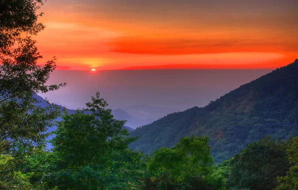 Trees, landscape, sunset, mountains, nature, beauty, Taiwan