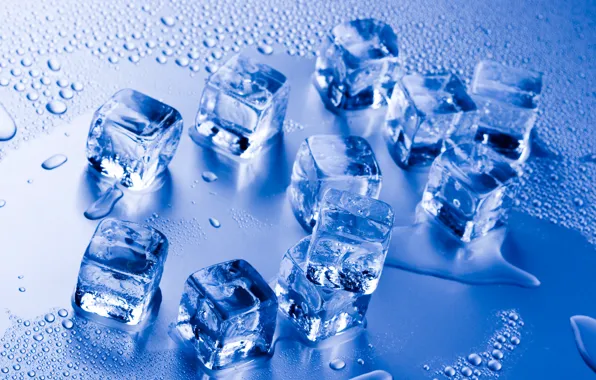 Water, water, ice cube, ice cube