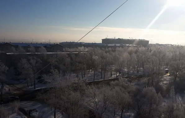 Winter, the city, home, the view from the window, trees in the snow, Khabarovsk