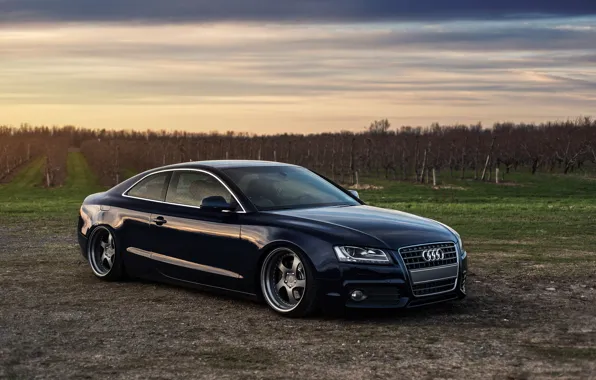 Picture frontside, wheels, Audi, stance