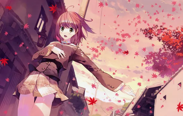 Picture leaves, the wind, anime girl, akizor ni mau confetti