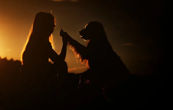 Girl, sunset, dog