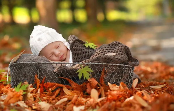 Picture autumn, basket, baby