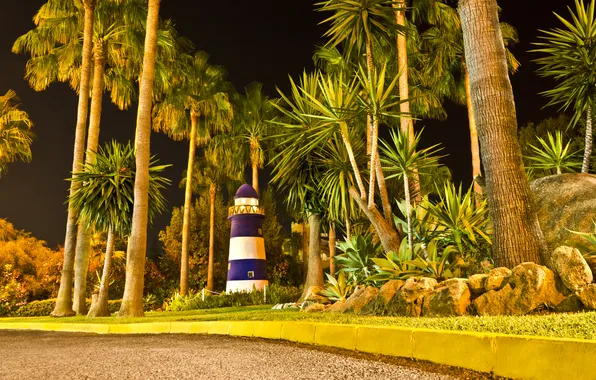 Picture road, light, night, tropics, Park, Palma, lighthouse