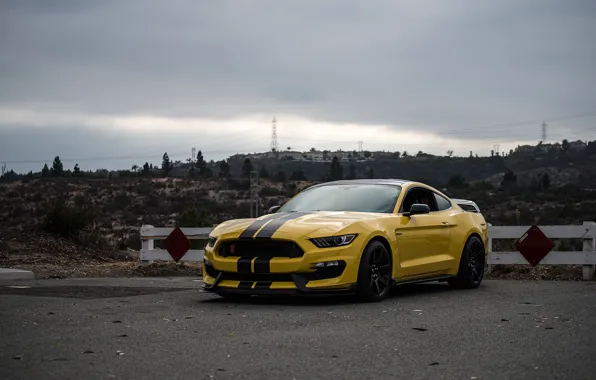 Mustang, Ford, Shelby, Yellow, GT350R, 2016