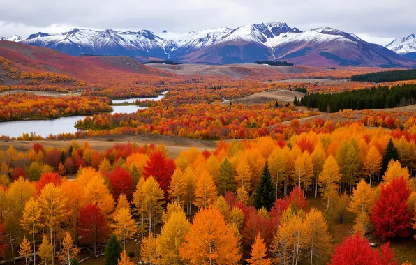 Colors, trees, nature, mountains, fall, fall colors