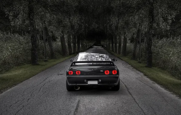 Picture road, trees, nissan, skyline, r32