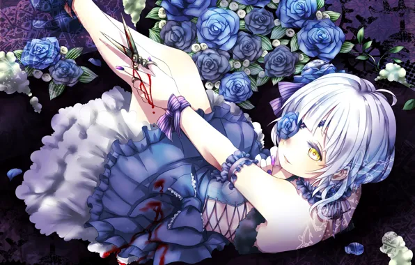 Blood, roses, blue, bow, rozen maiden, scissors, lacing, ruffles