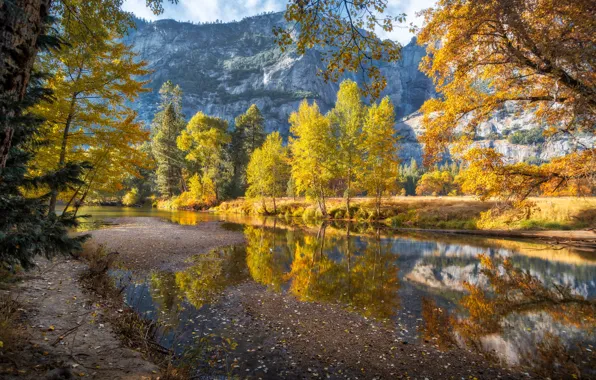 Picture autumn, trees, landscape, mountains, nature, river, USA, Yosemite