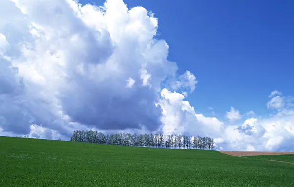 Picture the sky, clouds, earth