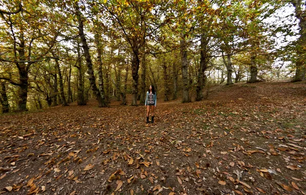 Picture autumn, girl, Lost