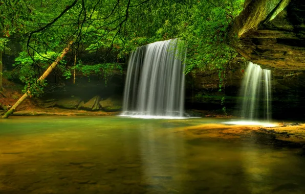 Picture trees, river, waterfall, Alabama, Bankhead National Forest, Caney Creek Falls