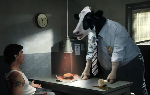 Picture cow, the investigator, questioning