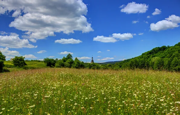 Field, the sky, clouds, landscape, nature, Germany