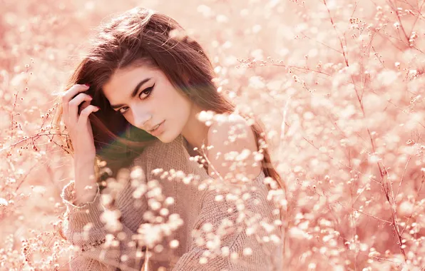 Girl, arrows, brunette