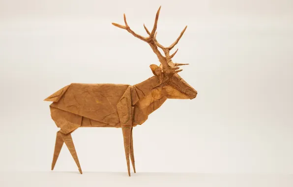 Background, deer, origami