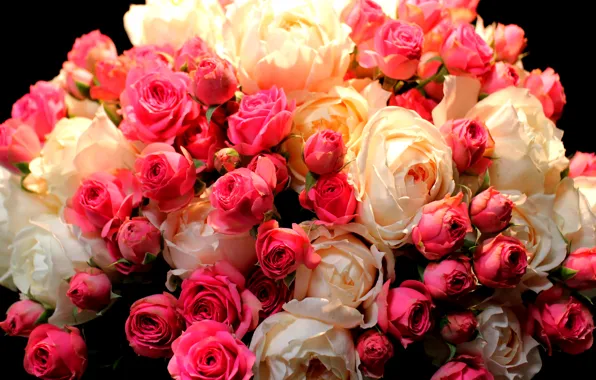 Picture photo, Flowers, Bouquet, Roses, A lot