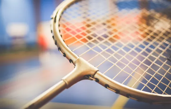 The game, racket, badminton