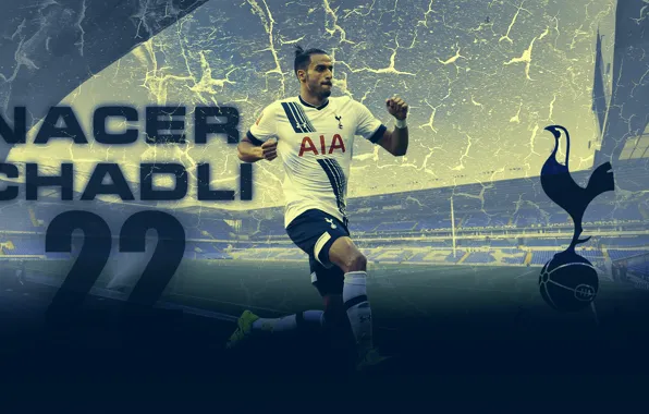 Picture Football, Spurs, belgium, Tottenham Hotspur, nacer, chadli