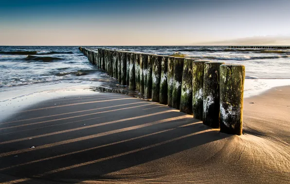 Sand, beach, the ocean, morning, the wood pile