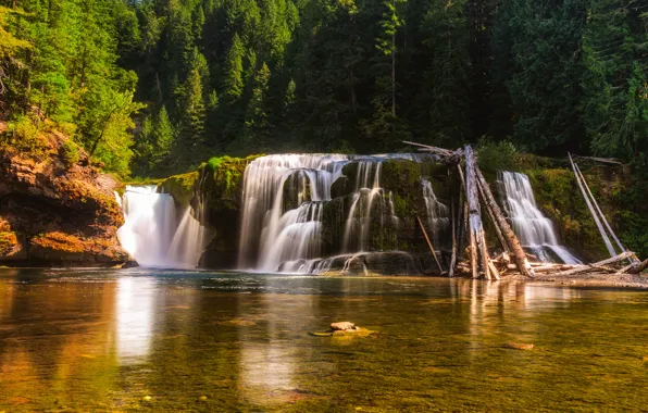 Forest, trees, lake, reflection, river, waterfall, USA, Washington