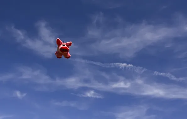 Picture the sky, toy, pig, pig, flying pig