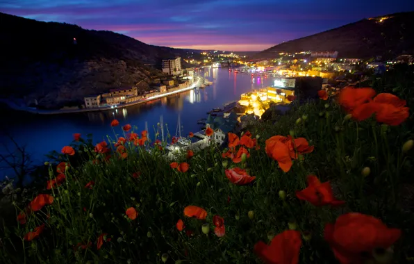 Sea, flowers, home, Night, Bay, Crimea, Sevastopol