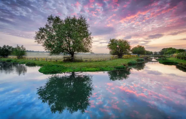 Picture field, summer, trees, bridge, river, dawn, morning
