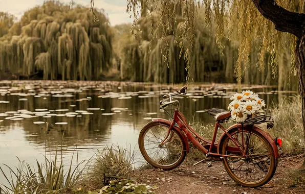 Pond, Summer, Sepia, Park, Bike, Brown, IVA, Willow