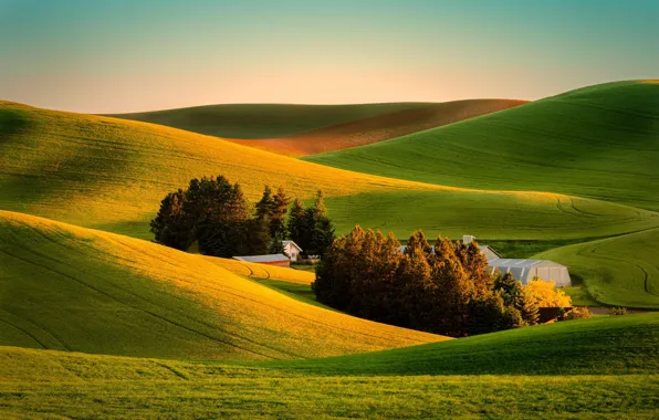 Field, nature, house, view, farm