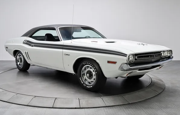 White, background, Dodge, 1971, Dodge, Challenger, the front, Muscle car