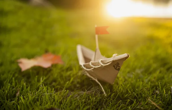 Picture grass, leaves, boat, green